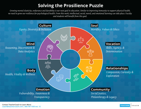Solving the Prosilience Puzzle Infographic